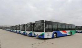 青岛交运巴士爆料最新消息,事故原因及后续处理情况揭晓