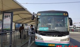 青岛交运巴士爆料最新消息,事故原因及后续处理情况揭晓